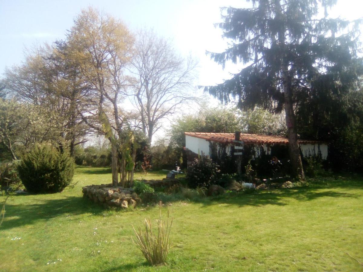 Le Champ-Saint-Pere Mas Des Vignes Piscine Chauffee Bed & Breakfast エクステリア 写真