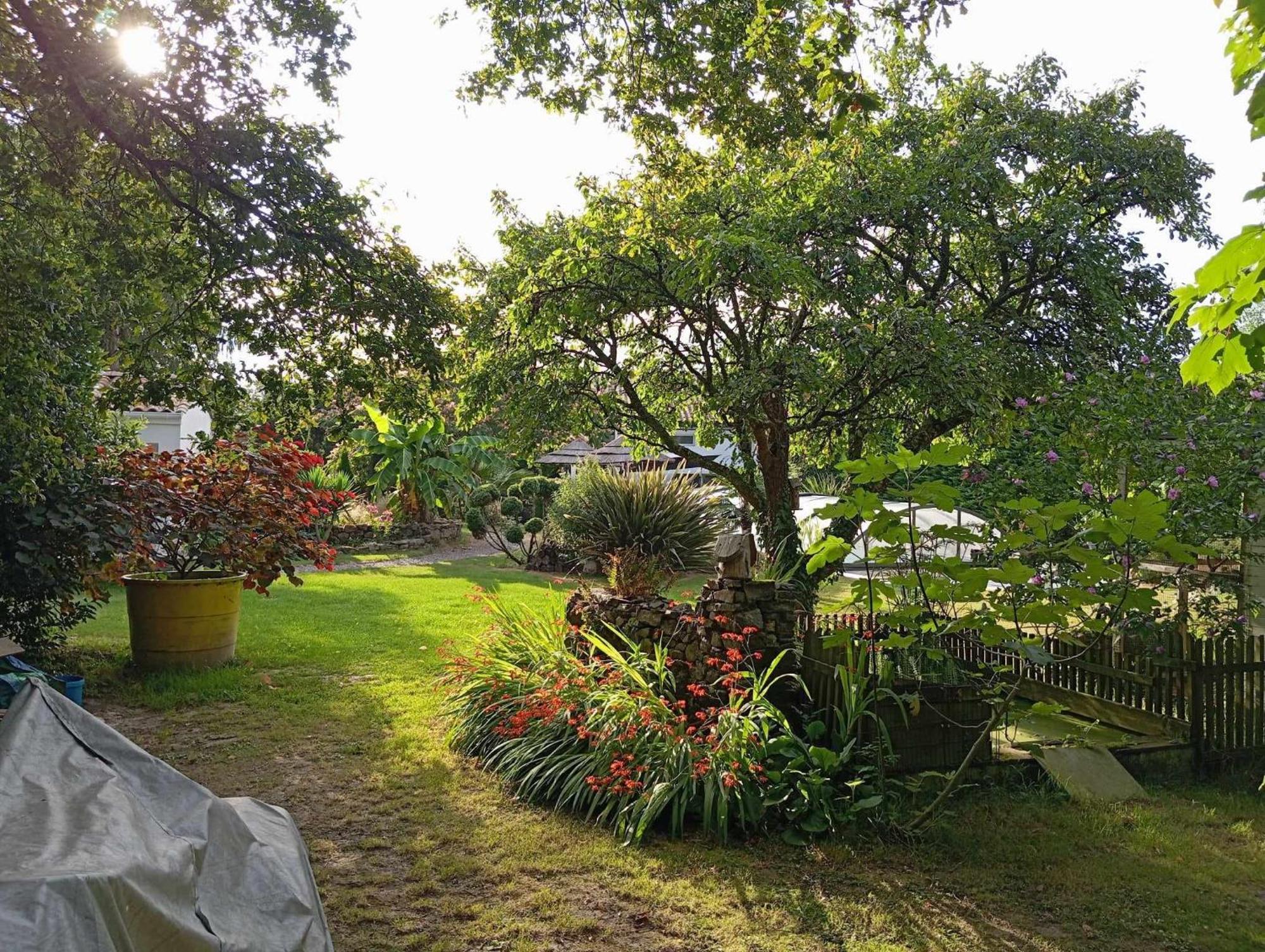 Le Champ-Saint-Pere Mas Des Vignes Piscine Chauffee Bed & Breakfast エクステリア 写真